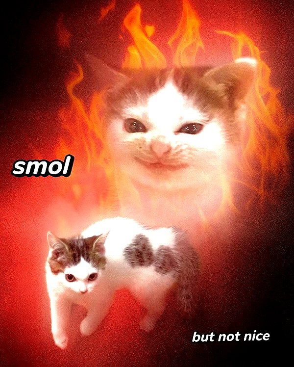 urgfmilki instagram image archive image