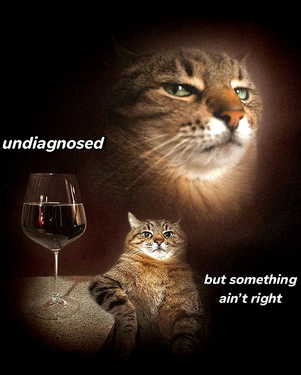 urgfmilki instagram image archive image