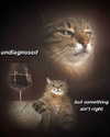 urgfmilki Altpins Profile Picture