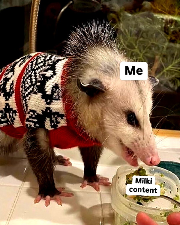 urgfmilki instagram image archive image