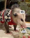 urgfmilki Altpins Profile Picture