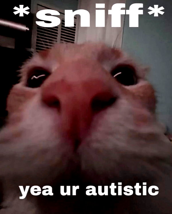 urgfmilki instagram image archive image
