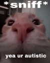 urgfmilki Altpins Profile Picture