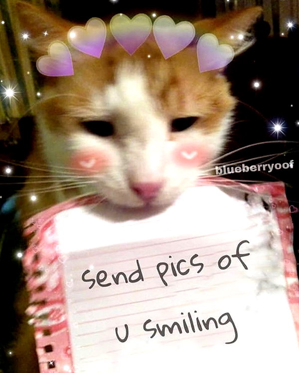 urgfmilki instagram image archive image