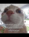 urgfmilki Altpins Profile Picture