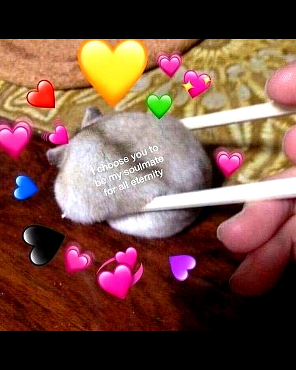 urgfmilki instagram image archive image