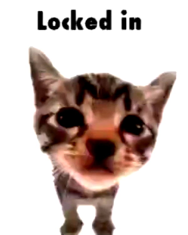 urgfmilki instagram image archive image