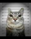 urgfmilki Altpins Profile Picture
