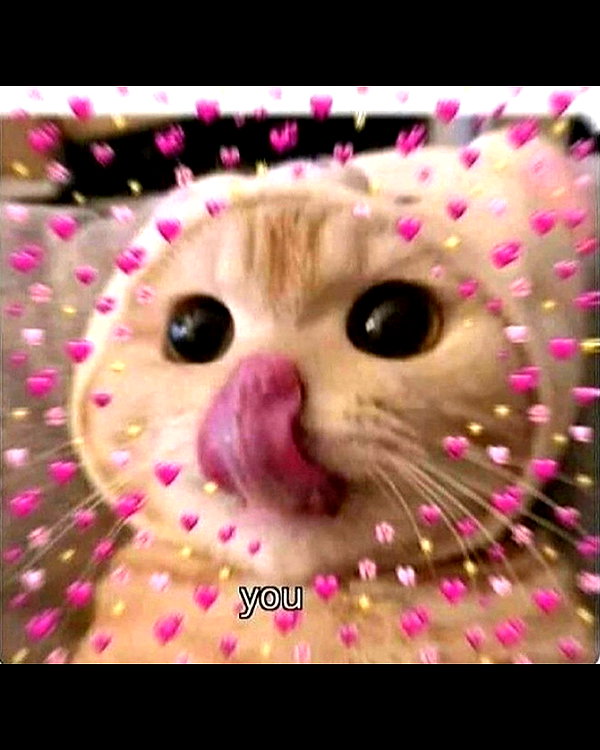 urgfmilki instagram image archive image