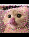 urgfmilki Altpins Profile Picture