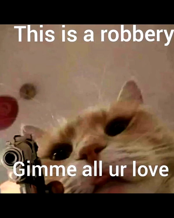 urgfmilki instagram image archive image
