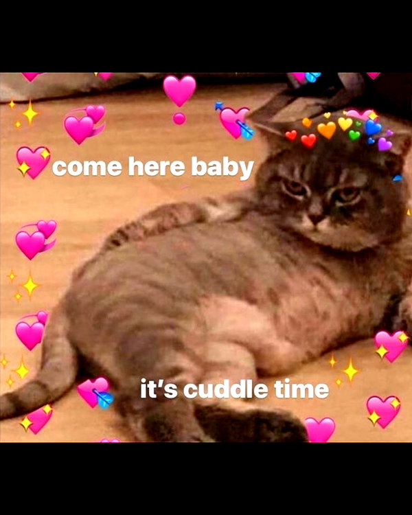 urgfmilki instagram image archive image