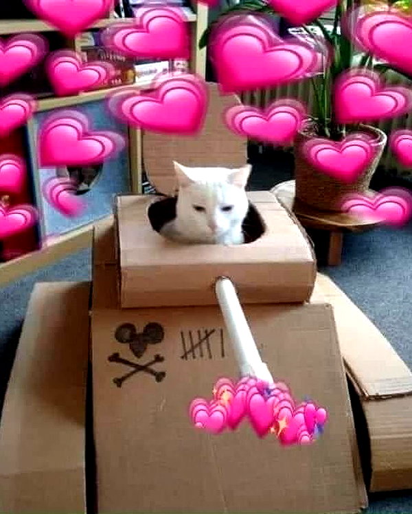 urgfmilki instagram image archive image