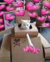 urgfmilki Altpins Profile Picture