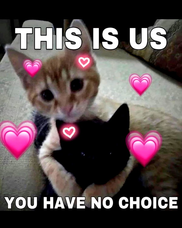 urgfmilki instagram image archive image