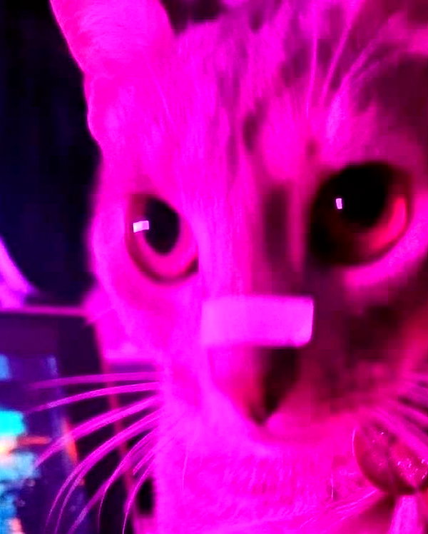 urgfmilki instagram image archive image