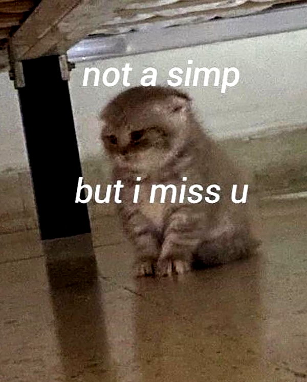 urgfmilki instagram image archive image