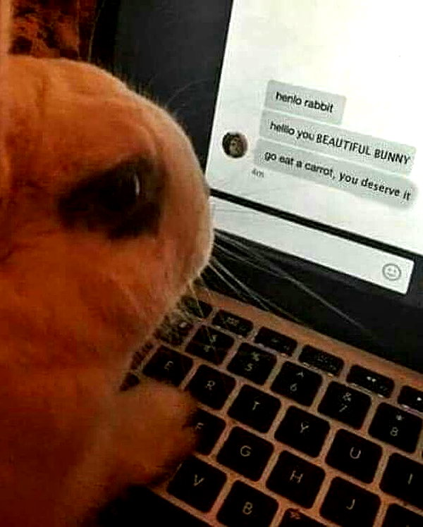 urgfmilki instagram image archive image