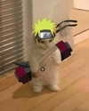 urgfmilki Altpins Profile Picture