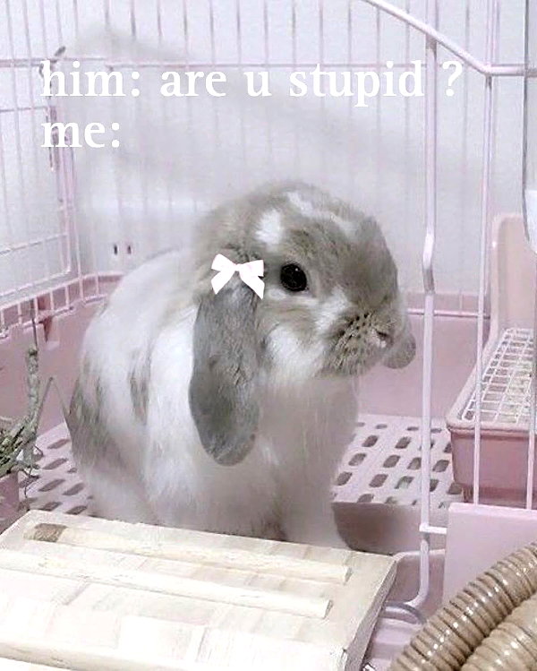 urgfmilki instagram image archive image