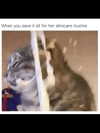 urgfmilki Altpins Profile Picture