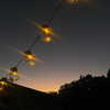 urluv.09 Altpins Profile Picture