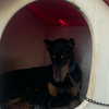 urluv.09 Altpins Profile Picture