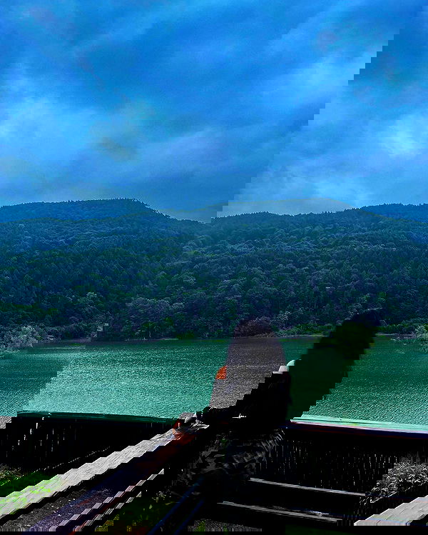 v.e.r.o._.n.i.c.a image ~ Altpins