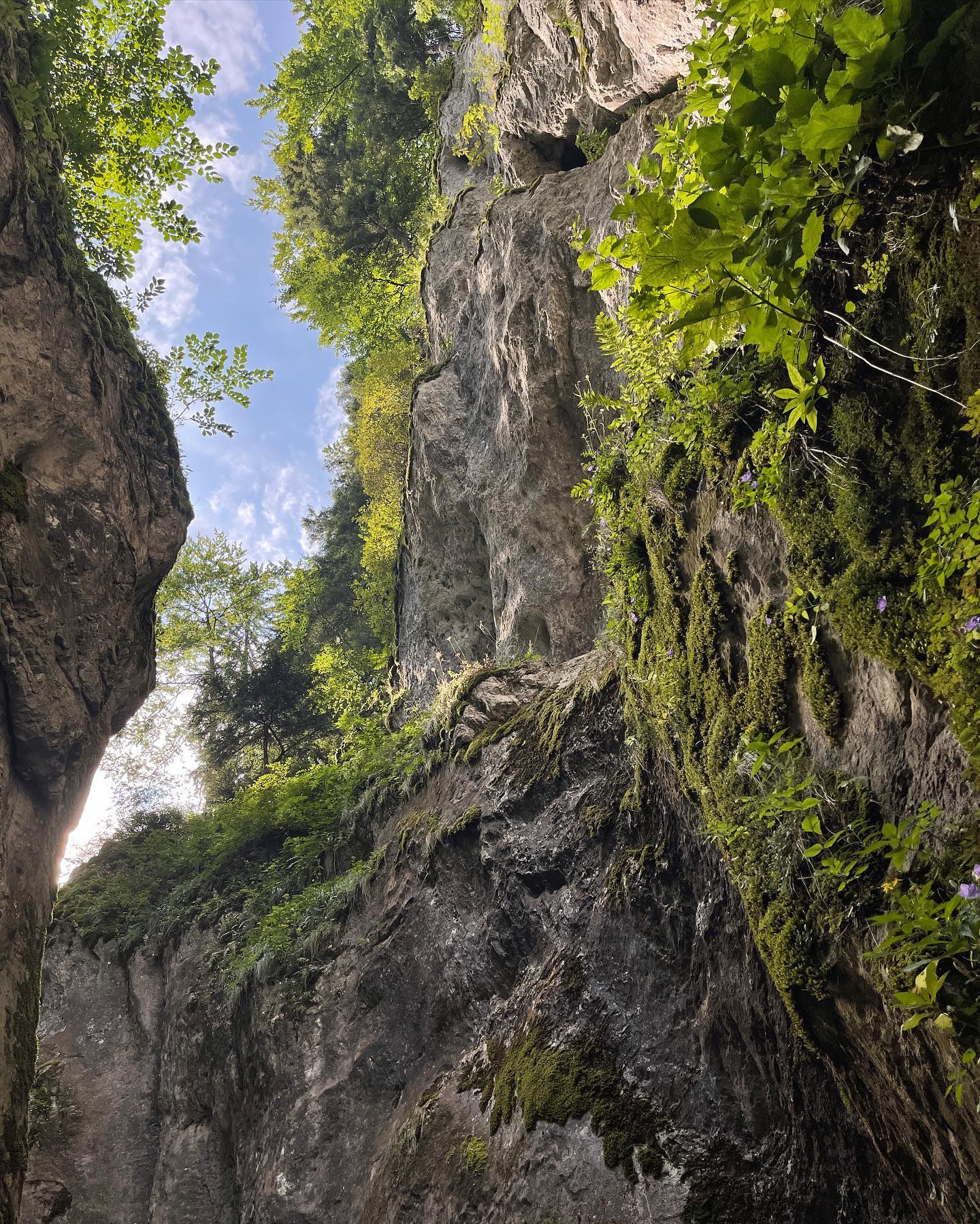 v.e.r.o._.n.i.c.a instagram image archive image