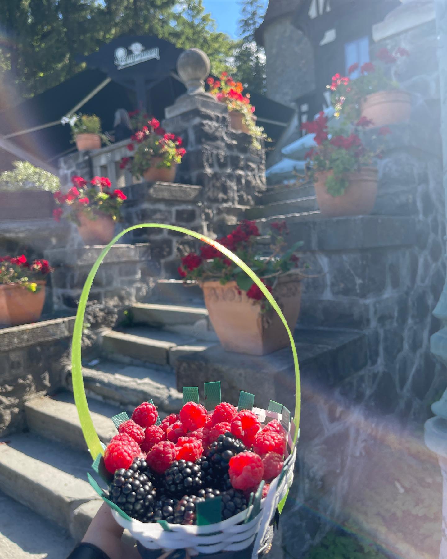 v.e.r.o._.n.i.c.a instagram image archive image