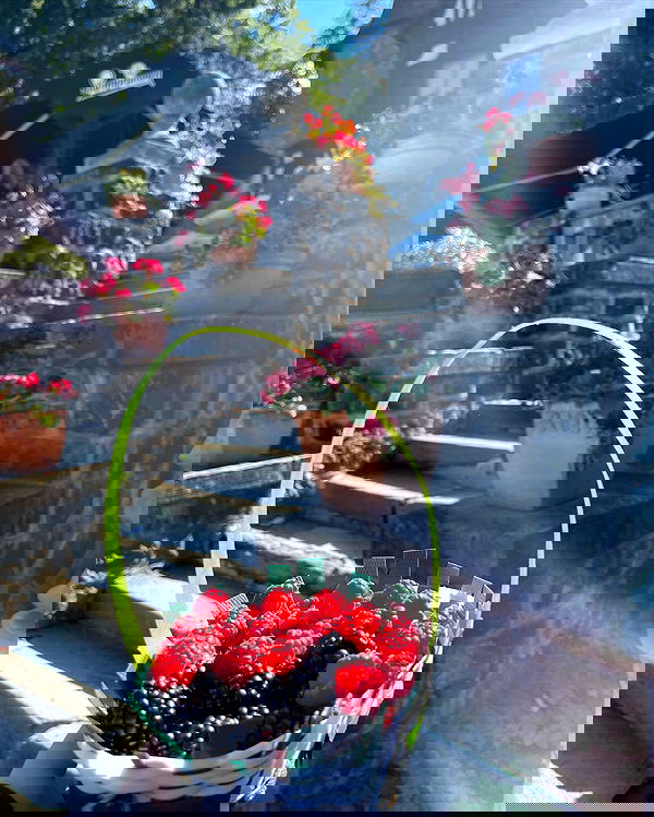 v.e.r.o._.n.i.c.a image ~ Altpins