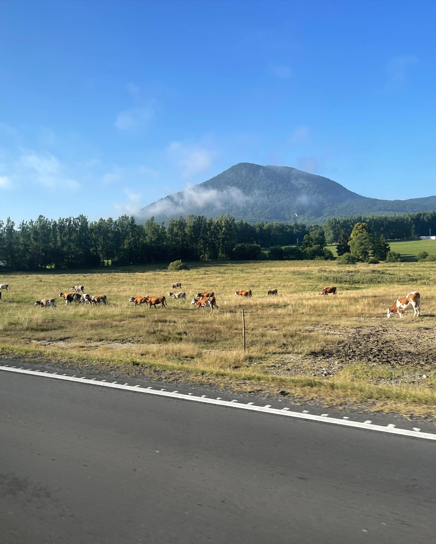 v.e.r.o._.n.i.c.a instagram image archive image