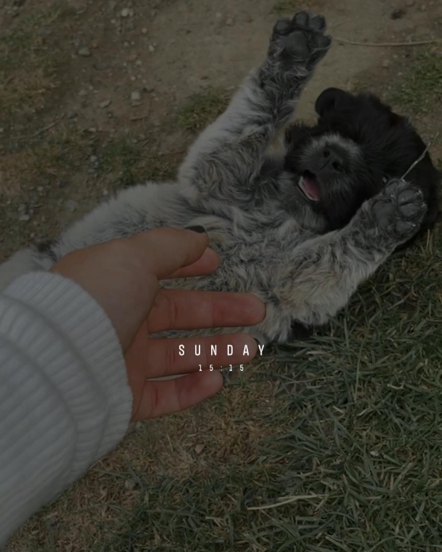 v.e.r.o._.n.i.c.a instagram image archive image