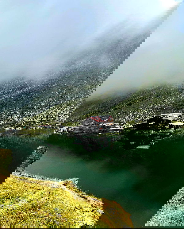 v.e.r.o._.n.i.c.a image ~ Altpins