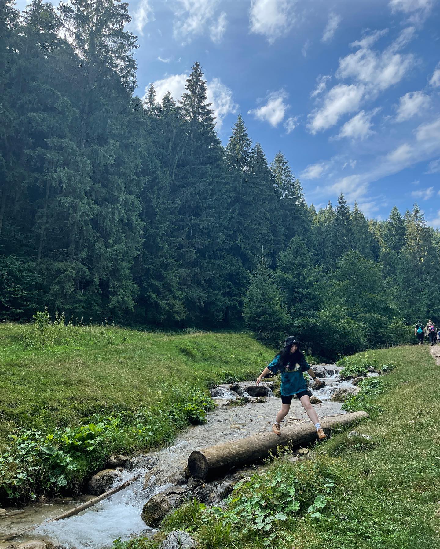 v.e.r.o._.n.i.c.a instagram image archive image