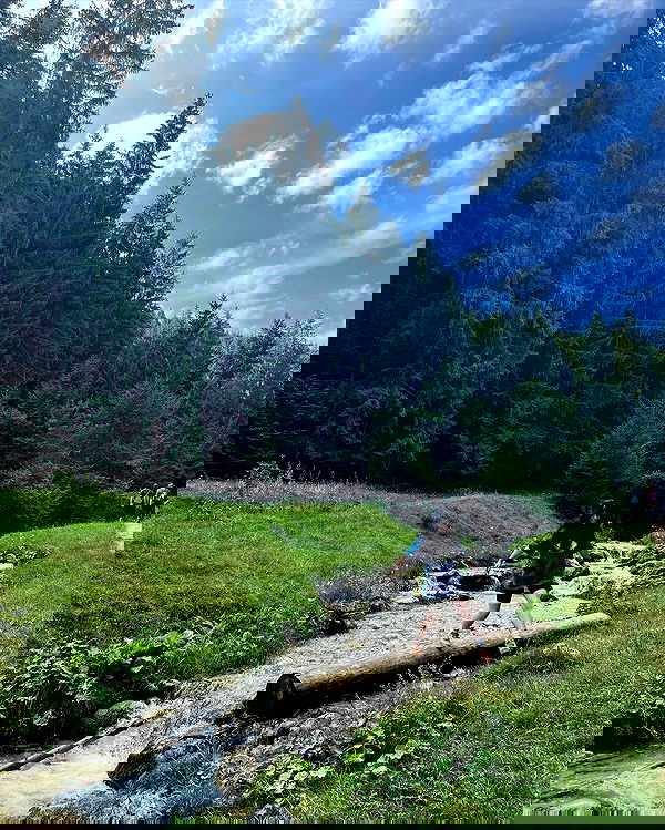 v.e.r.o._.n.i.c.a image ~ Altpins