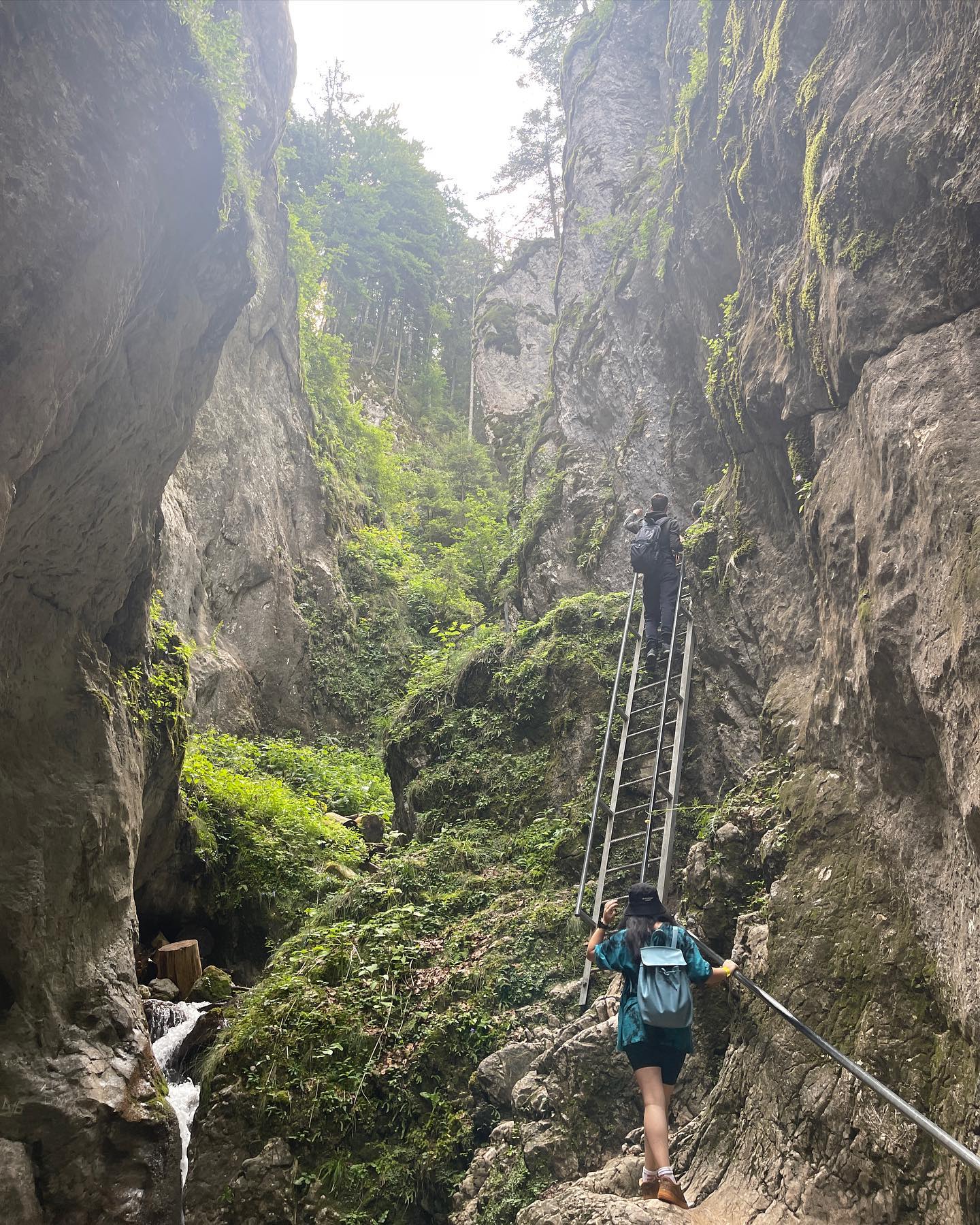 v.e.r.o._.n.i.c.a instagram image archive image