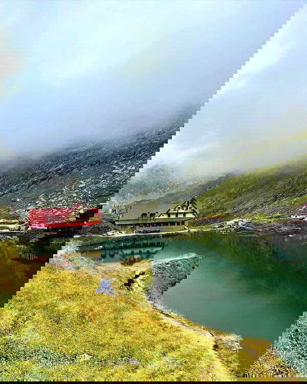 v.e.r.o._.n.i.c.a image ~ Altpins