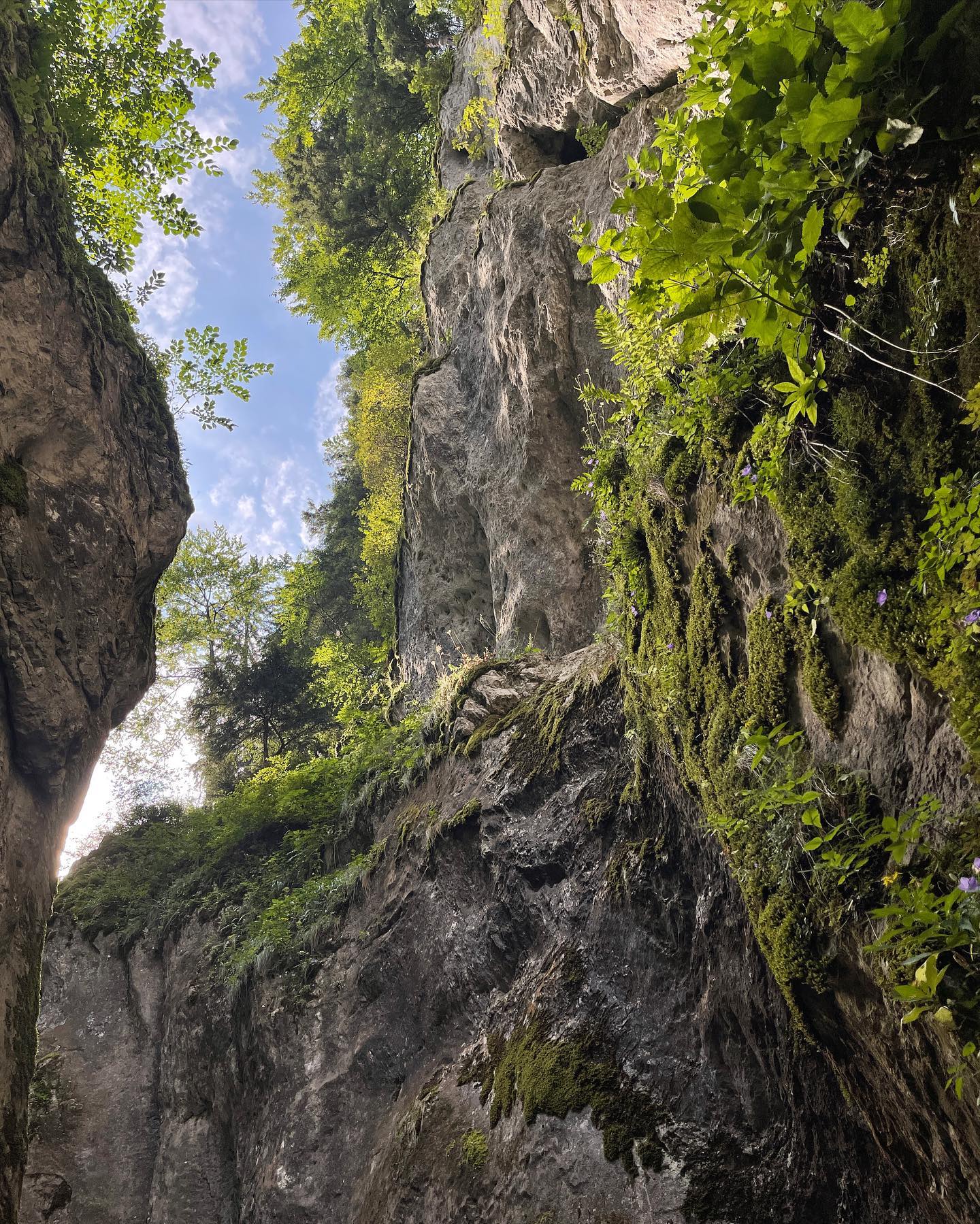 v.e.r.o._.n.i.c.a instagram image archive image