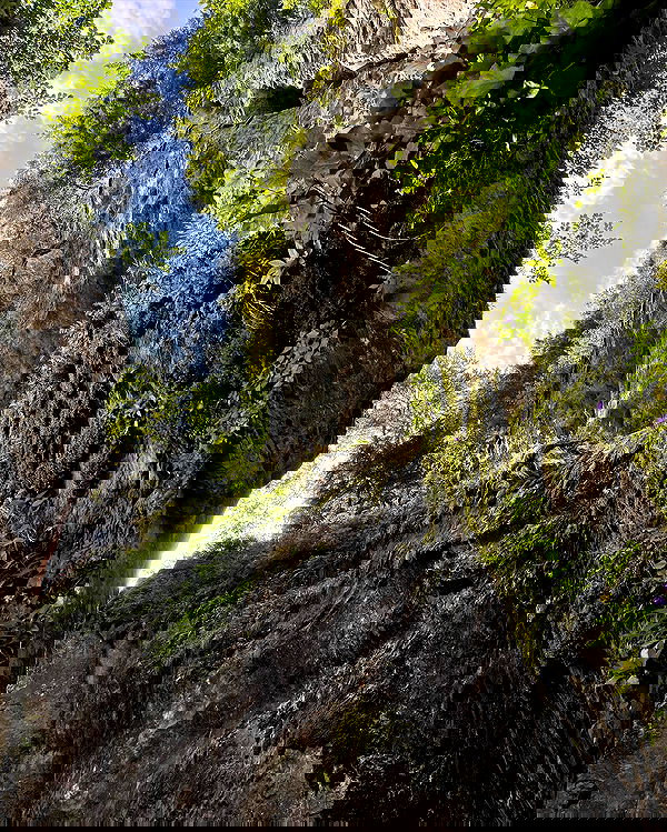 v.e.r.o._.n.i.c.a image ~ Altpins