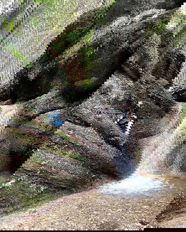 v.e.r.o._.n.i.c.a image ~ Altpins