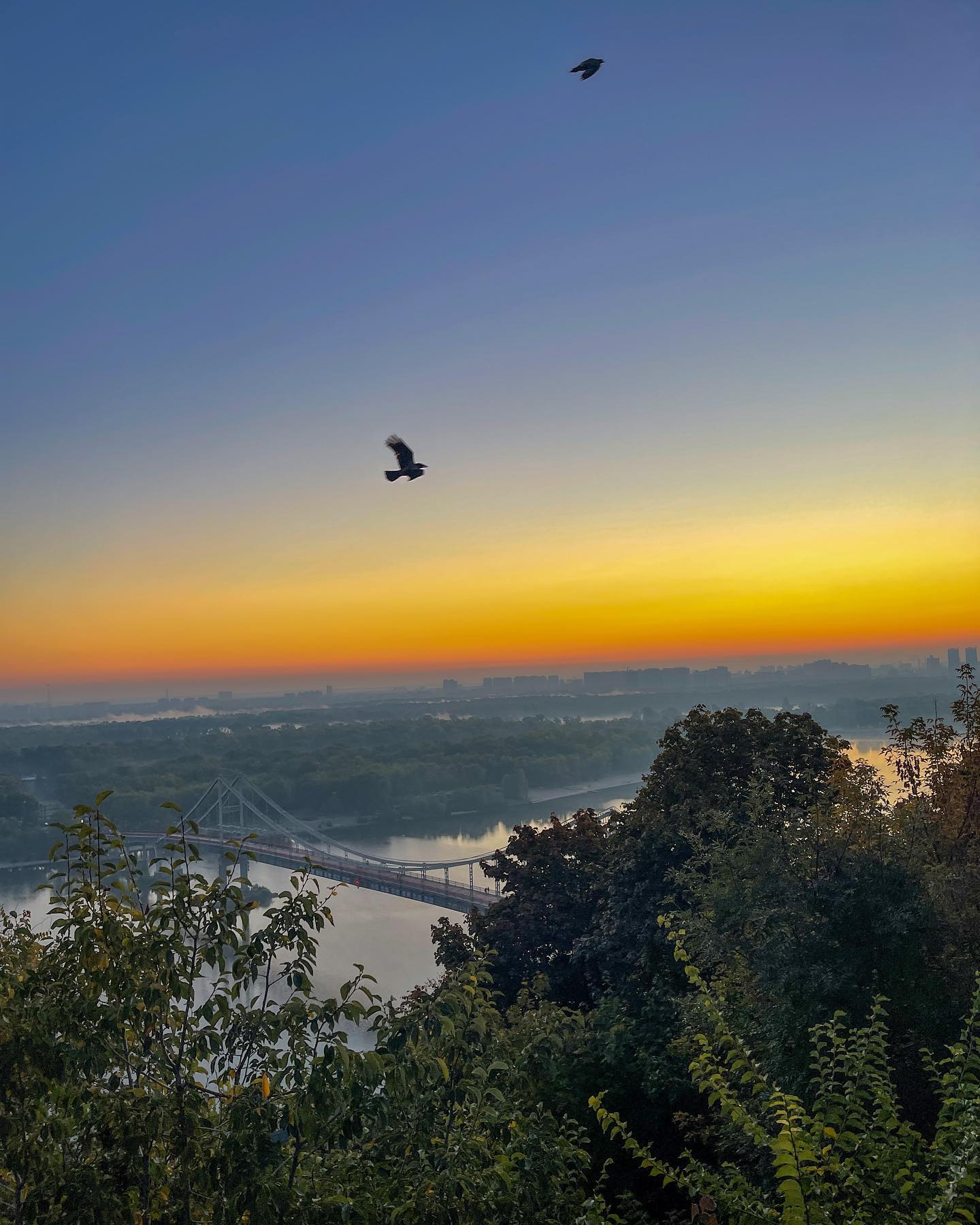 v.e.r.o._.n.i.c.a instagram image archive image