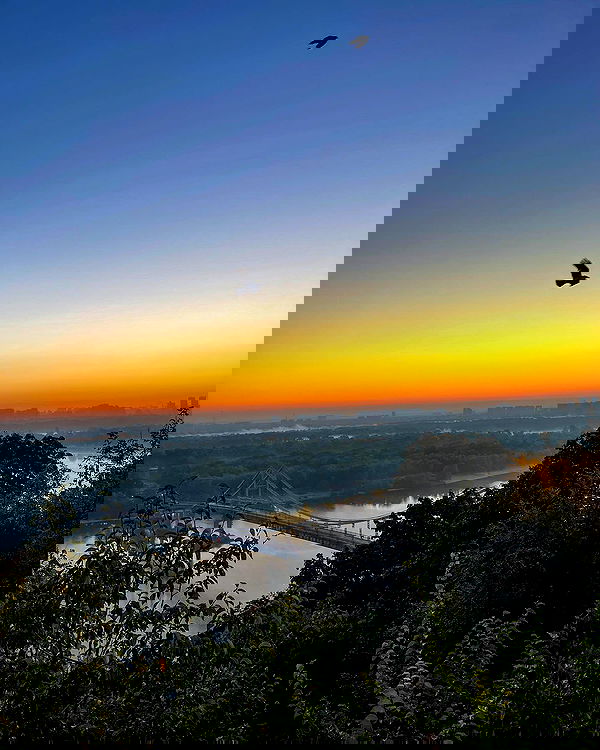 v.e.r.o._.n.i.c.a image ~ Altpins