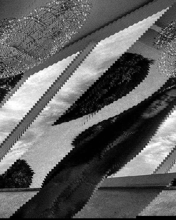 v.e.r.o._.n.i.c.a image ~ Altpins