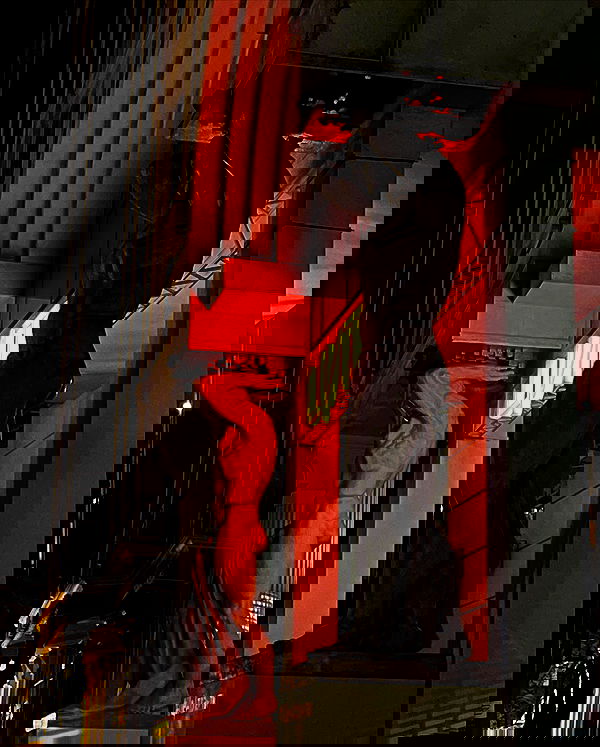 v.e.r.o._.n.i.c.a image ~ Altpins