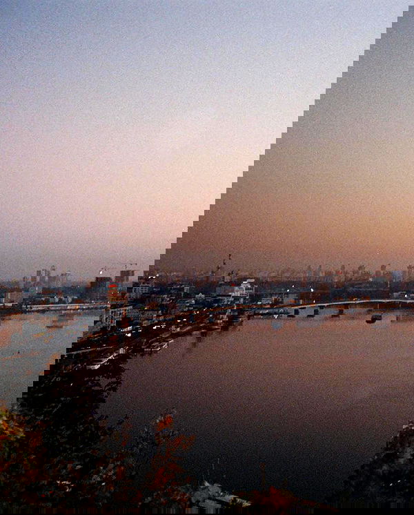 v.e.r.o._.n.i.c.a image ~ Altpins