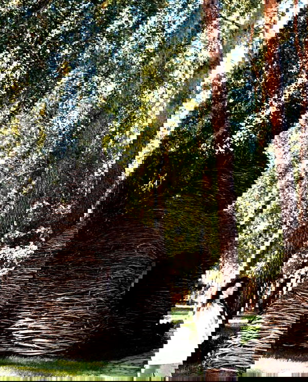 v.e.r.o._.n.i.c.a image ~ Altpins