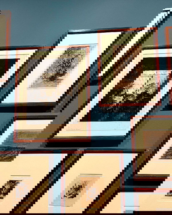 v.e.r.o._.n.i.c.a image ~ Altpins