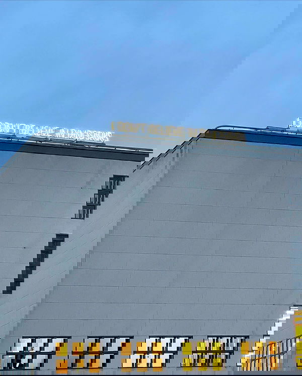 v.e.r.o._.n.i.c.a image ~ Altpins