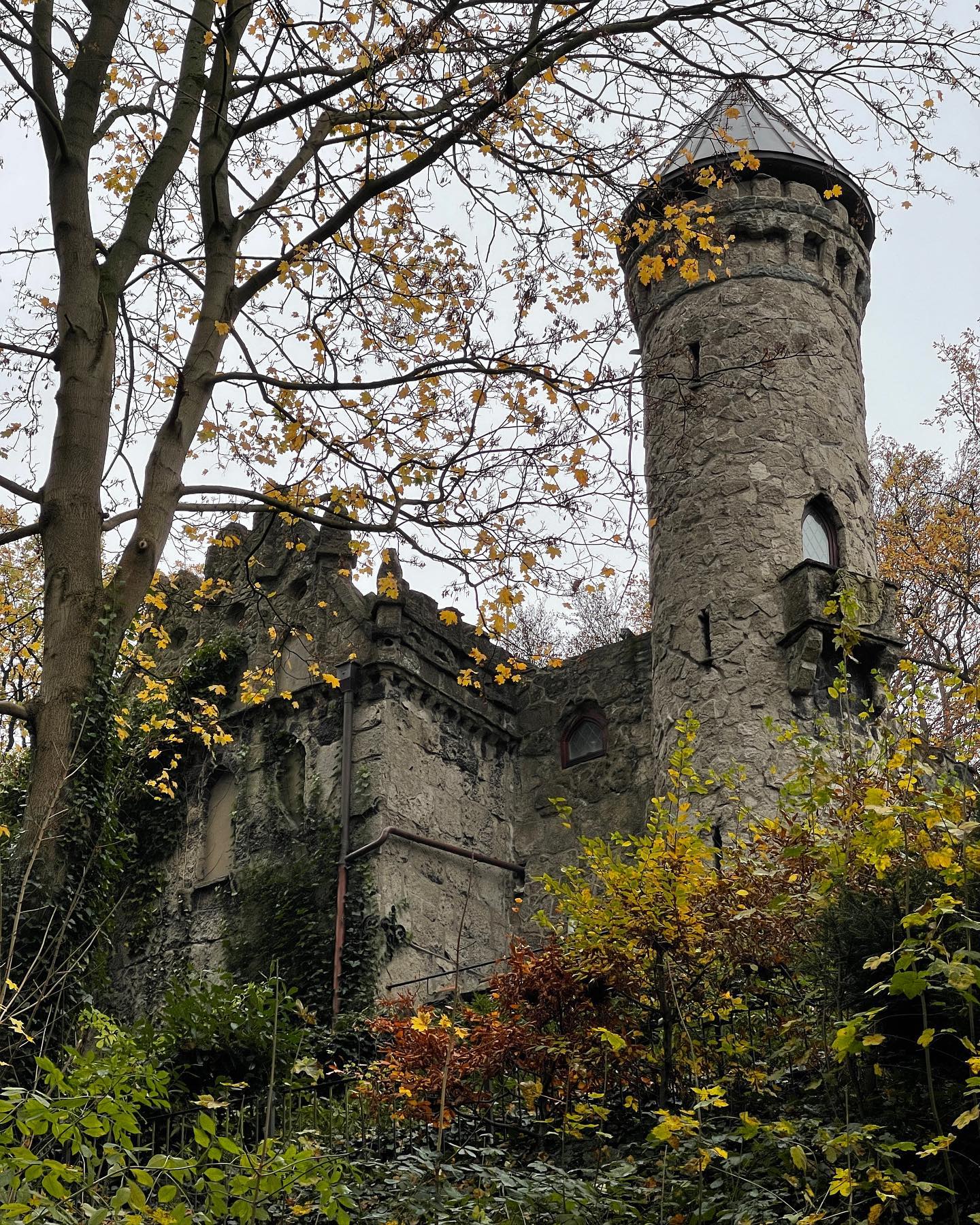 v.e.r.o._.n.i.c.a instagram image archive image